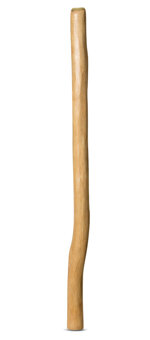 Medium Size Natural Finish Didgeridoo (TW627)